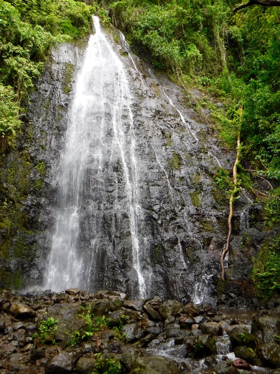 Hamama Falls (Kaneohe) - All You Need to Know BEFORE You Go