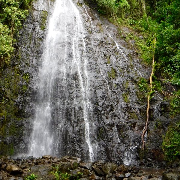 Kaneohe, HI 2023: Best Places to Visit - Tripadvisor