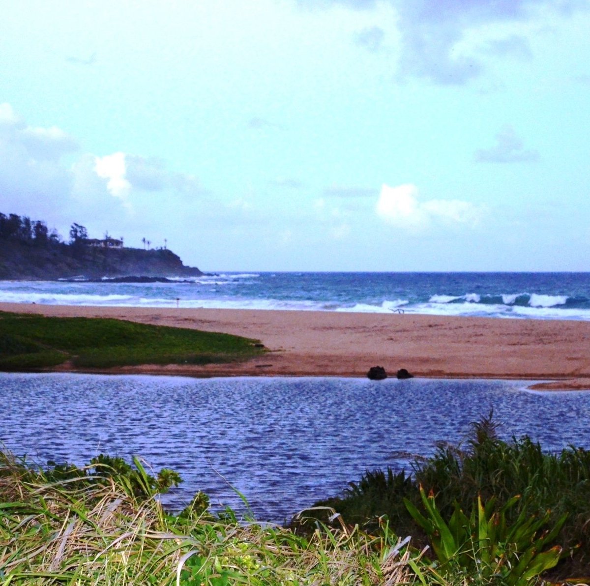 Unveiling The Delights Of Kauai Chocolate & Coffee: An Enchanting Festival Of Flavors