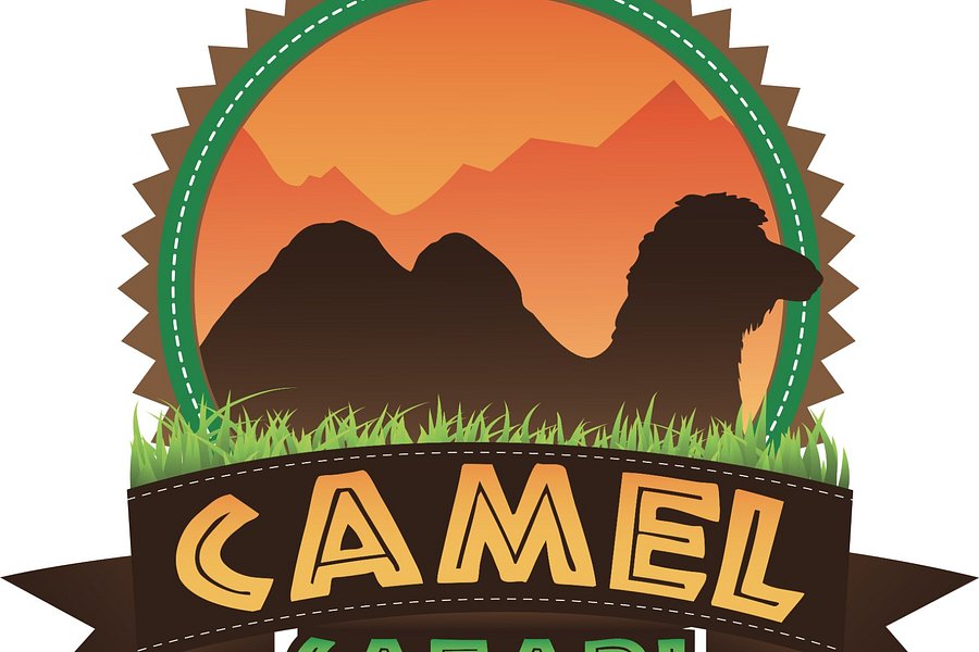 camel safari in las vegas
