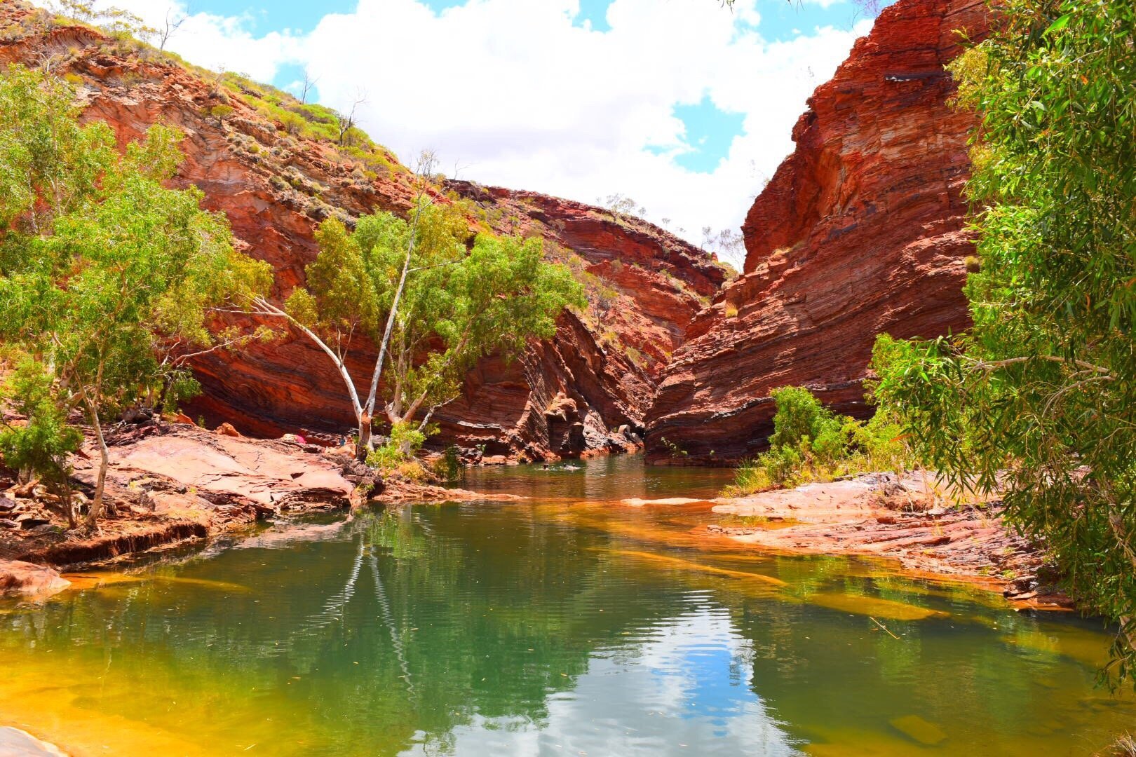 Barrow Island Marine Park The Pilbara