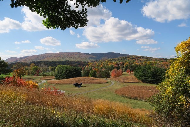 are dogs allowed at storm king