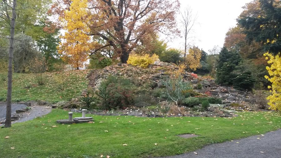 Botanischer Garten (2025) All You Need to Know BEFORE You Go (with