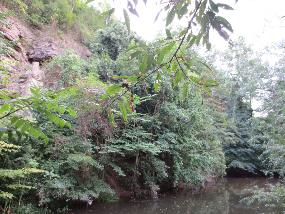 Erlkönig (Jena) All You Need to Know BEFORE You Go (with Photos)