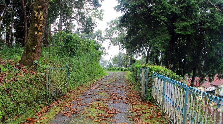 Campus