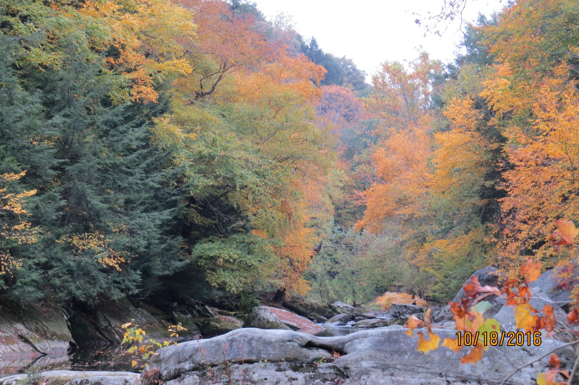 Camping near mcconnells outlet mill state park