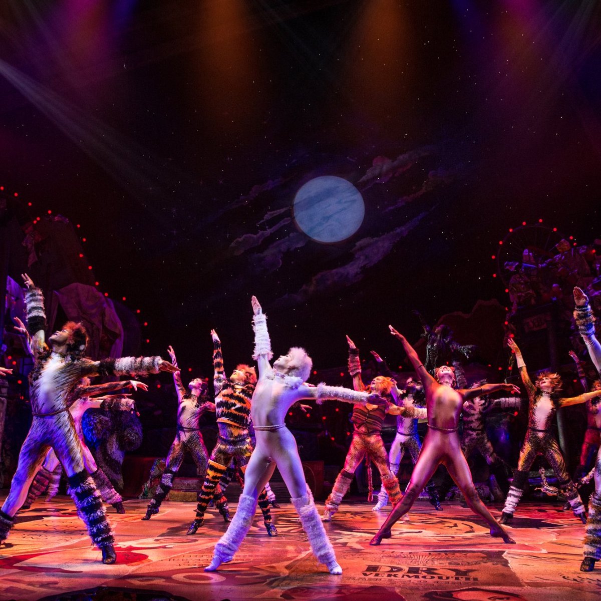 Cats the Musical' is a purrfect evening out for broadway fans