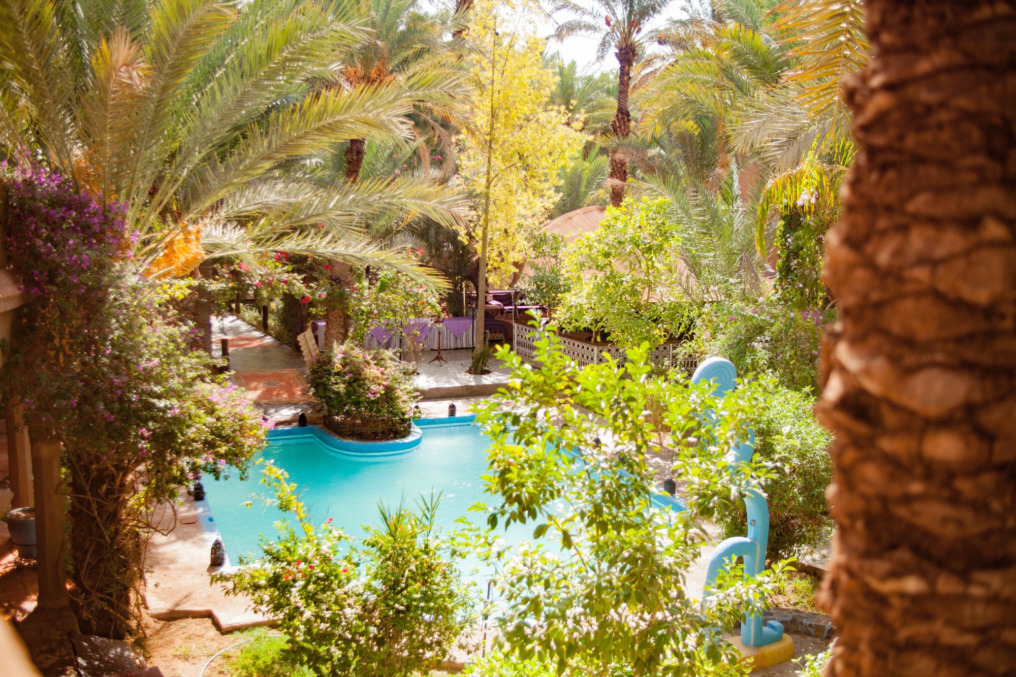 Hotel photo 14 of Riad Lamane.