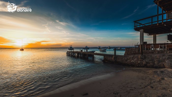 DIVERS PARADISE APARTMENTS BONAIRE, CARIBE: 117 fotos, comparação de preços  e 12 avaliações - Tripadvisor