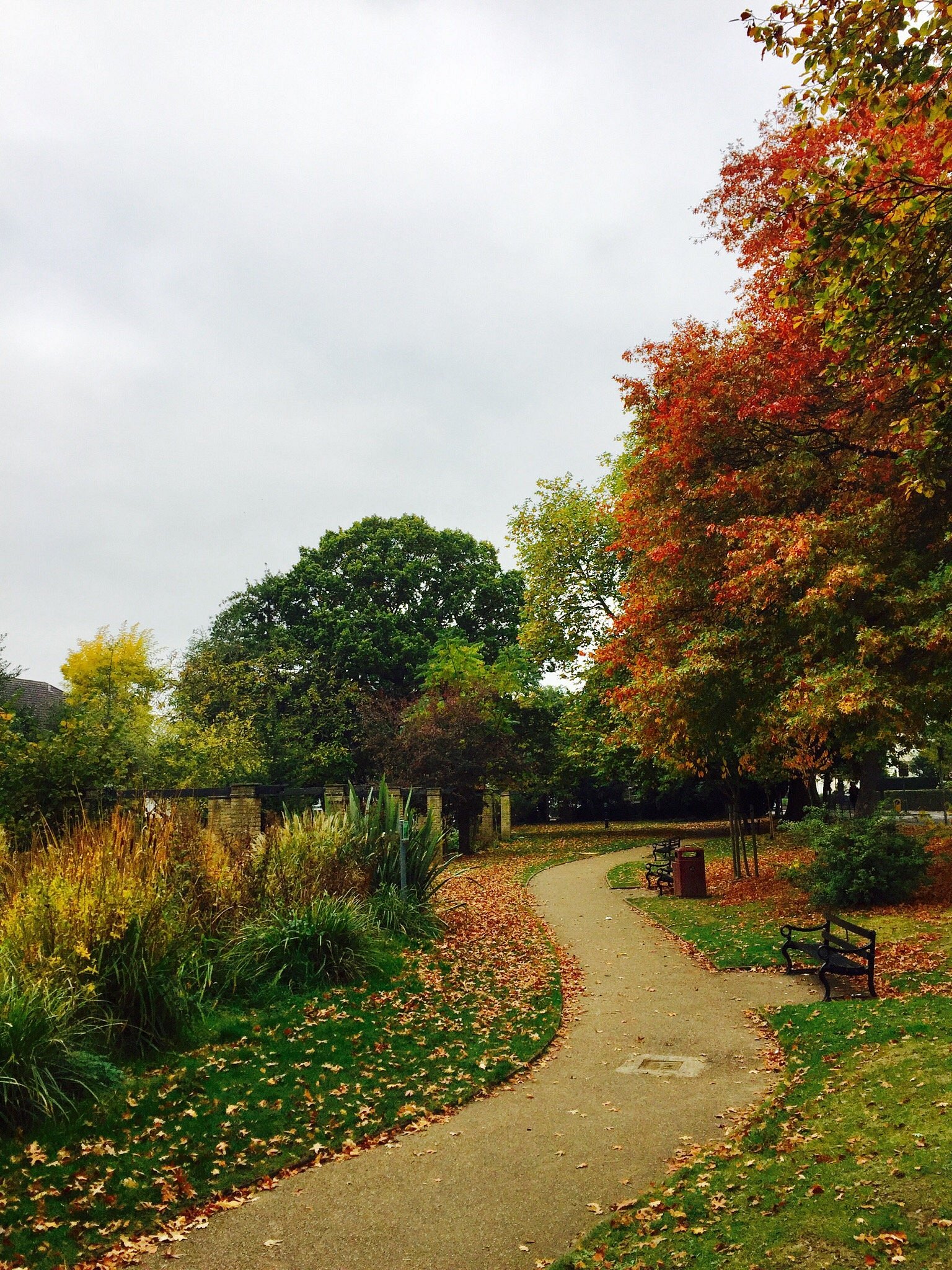 A lovely, autumnal outdoor scene in Claremont garden, Surbiton town centre, found at Tripadvisors page: https://www.tripadvisor.co.uk/Attraction_Review-g1752250-d8372693-Reviews-Claremont_Gardens_Surbiton_town_centre-Surbiton_Kingston_upon_Thames_Greater_Lon.html