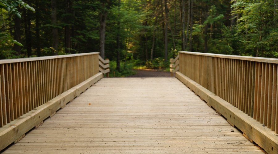 excellent bridges
