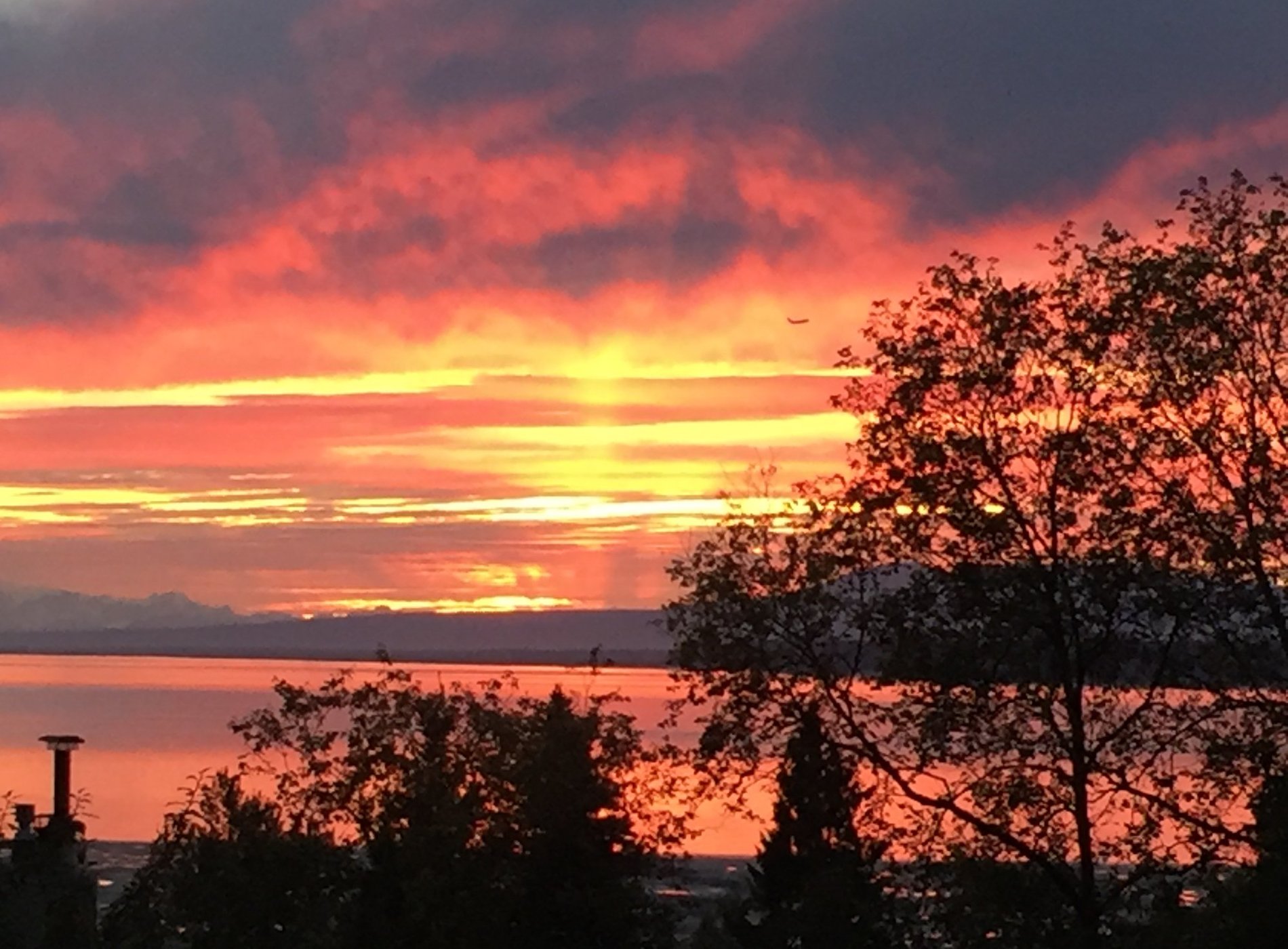 Susitna Place by null