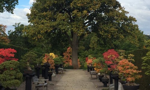 Japan garden wisely