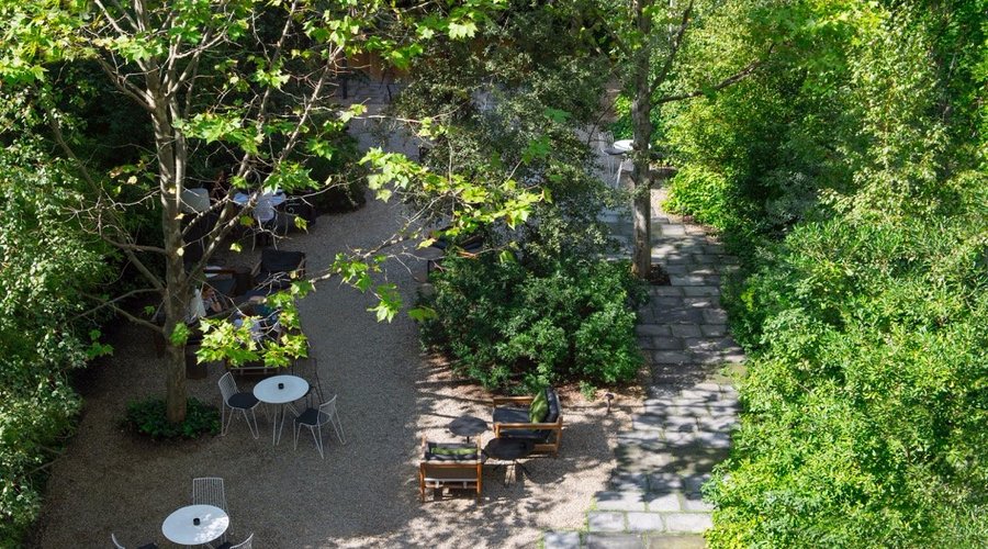 The garden from the room