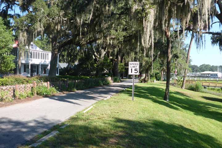 Savannah Coastal Ecotours - All You Need to Know BEFORE You Go (2024)