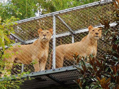 Philadelphia Zoo