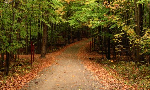 Mont St Bruno QC
