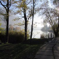 viale