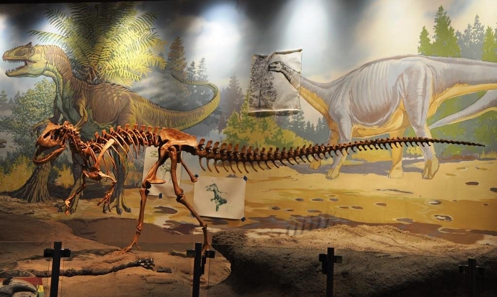 Utah Field House of Natural History State Park (Vernal) - All You Need to  Know BEFORE You Go