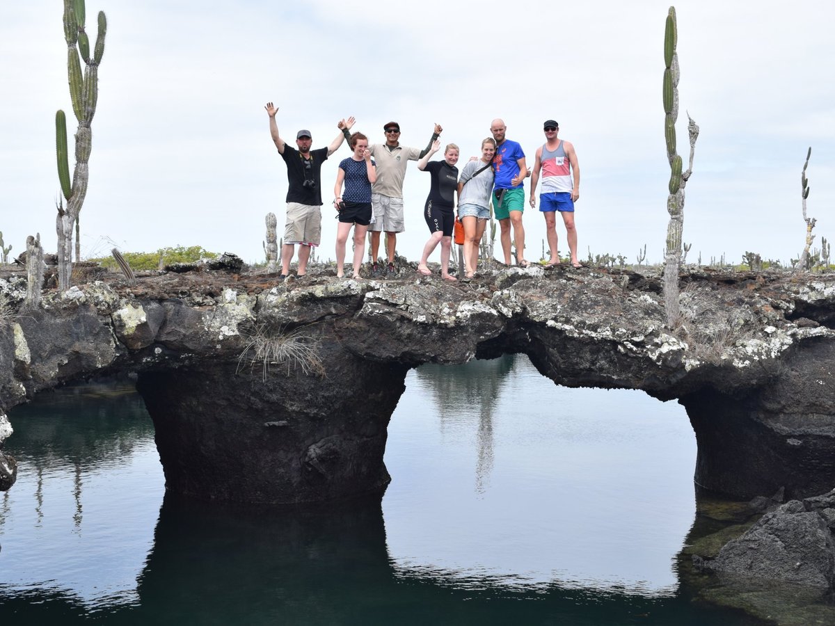 Galapagos lava – Pahoehoe and Aa lava  Galapagos Islands and Ecuador  Travel Blog