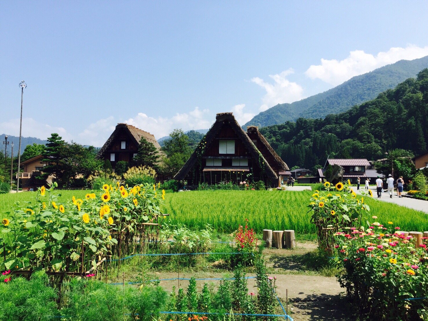 The Historic Villages of Shirakawa-go Gassho Style Houses - All