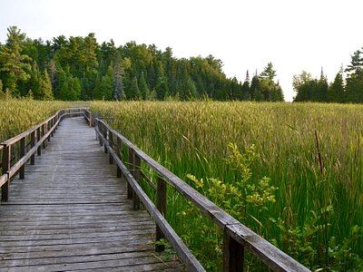 Kawartha Lakes, Ontario 2024: All You Need to Know Before You Go -  Tripadvisor