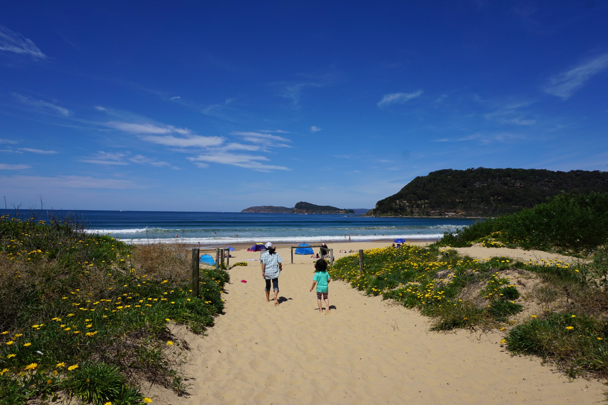 umina beach surf club