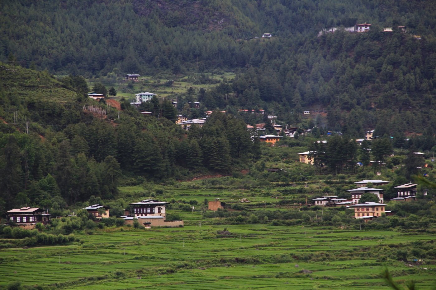 TAKTSANGRI-LA (Paro) - Resort Reviews, Photos, Rate Comparison ...