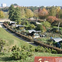 Le parc, en automne.