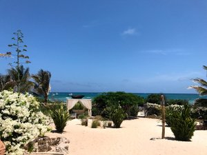 Pool & Beach