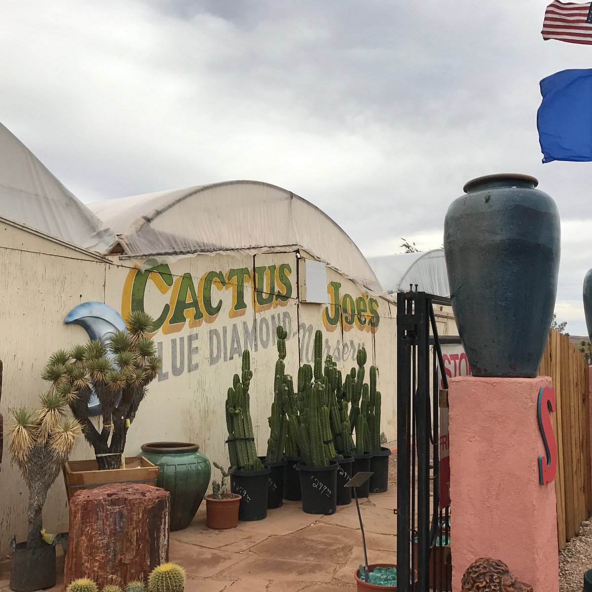 Cactus Joe's Blue Diamond Nursery