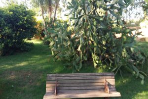 Áreas recreativas e para família