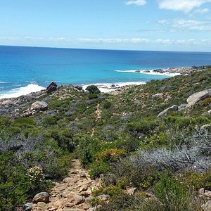 The Flat Rock Beach shoreline and reef - Picture of Flat Rocks Beach,  Greenough - Tripadvisor