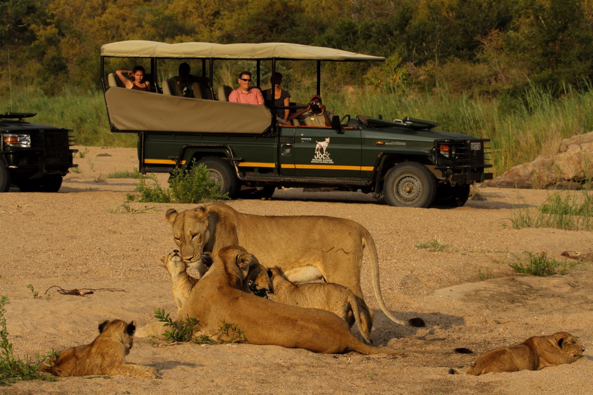 Jock Safari Lodge - Updated 2022 Prices & Reviews (kruger National Park 