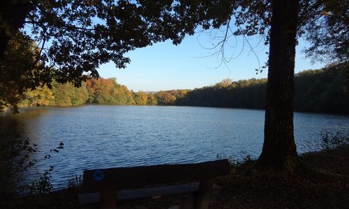 Etangs de Bonfol (vue)