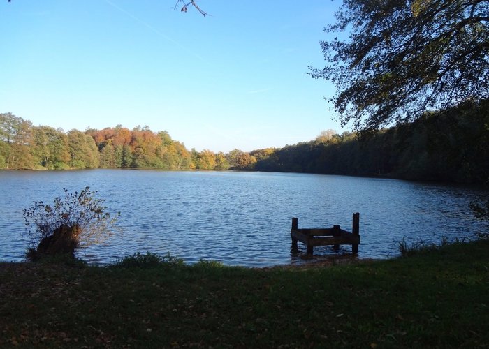Etangs de Bonfol (vue)
