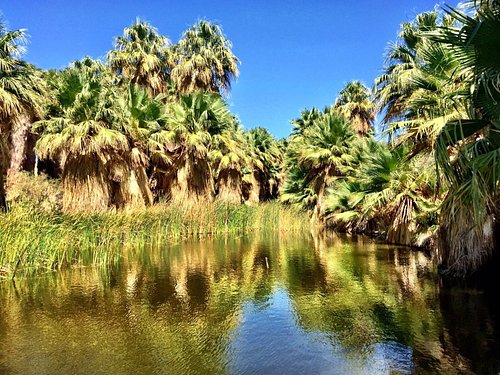 33+ EPIC & Fun Things to Do in Palm Springs - Jen on the Run