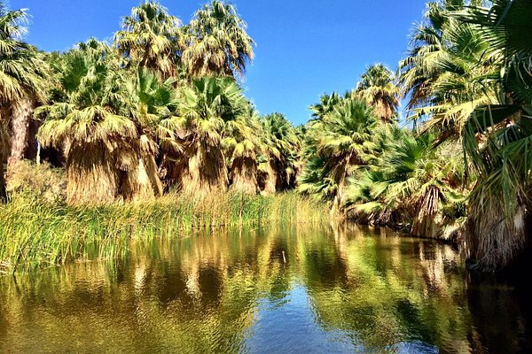 3 Days in Palm Desert - A Greater Palm Springs Itinerary