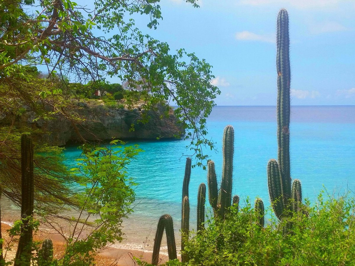 KARIBIK URLAUB CURACAO All You MUST Know Before You Go (2024)