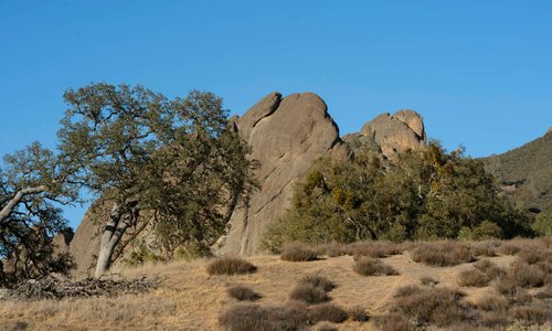 Pinnacles National Park