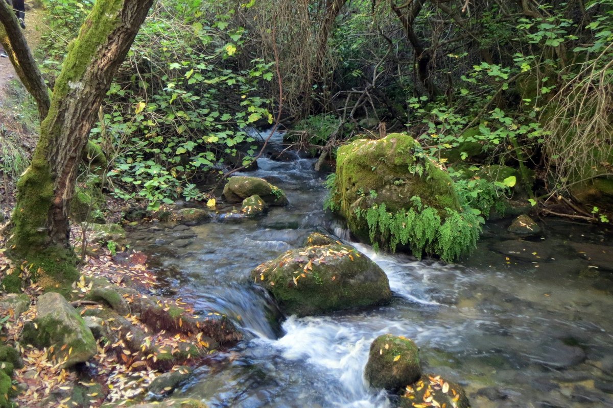 Rio majaceite, el bosque, cádiz, espanha