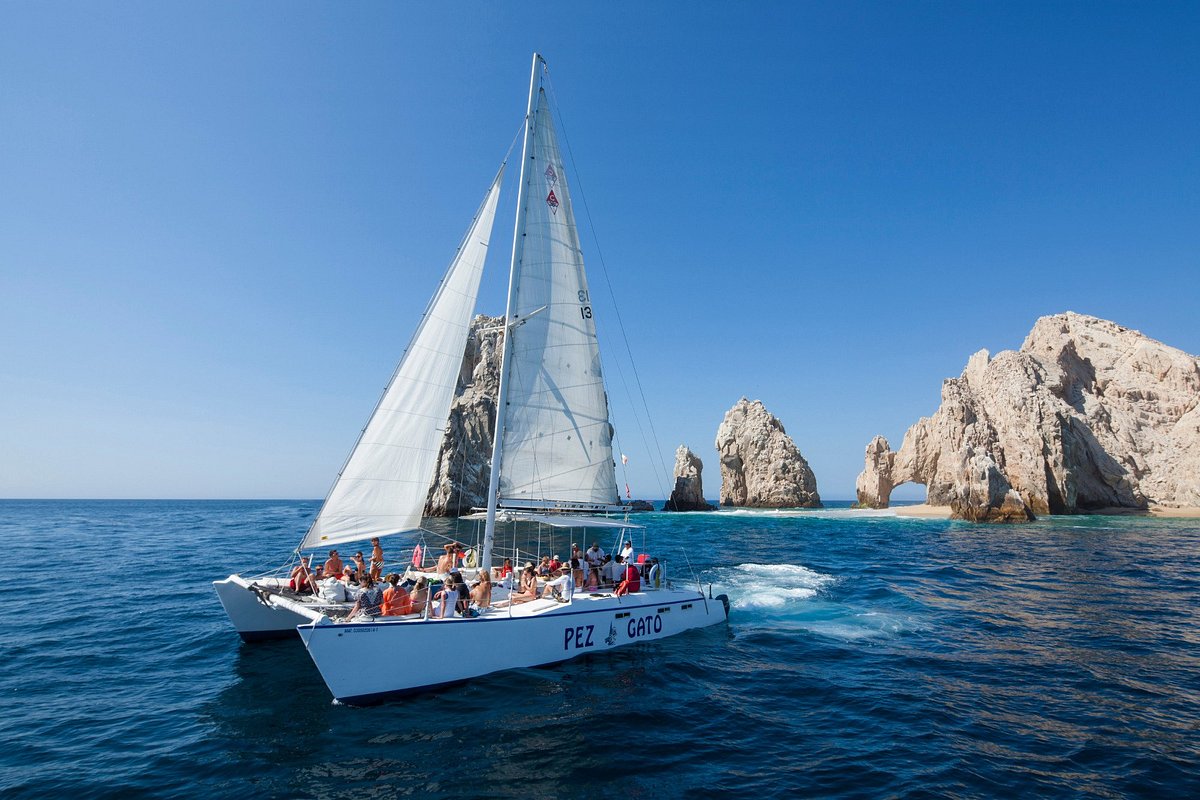 catamaran party boat cabo san lucas