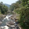 Things To Do in Natural Pool, Restaurants in Natural Pool