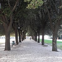 Viale alberato dento i giardini del Girfalco