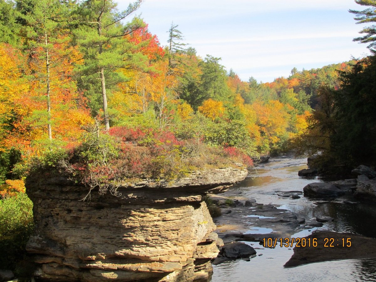 swallow falls