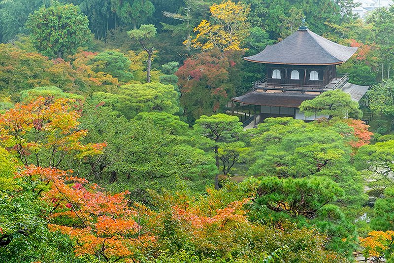 Ginkakuji Temple image