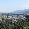 Top 10 Sights & Landmarks in Kudoyama-cho, Kinki