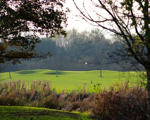 Menda City resultat avis THE 10 BEST Amsterdam Golf Courses (Updated 2023) - Tripadvisor