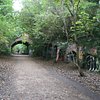 Things To Do in The Parkland Walk, Restaurants in The Parkland Walk
