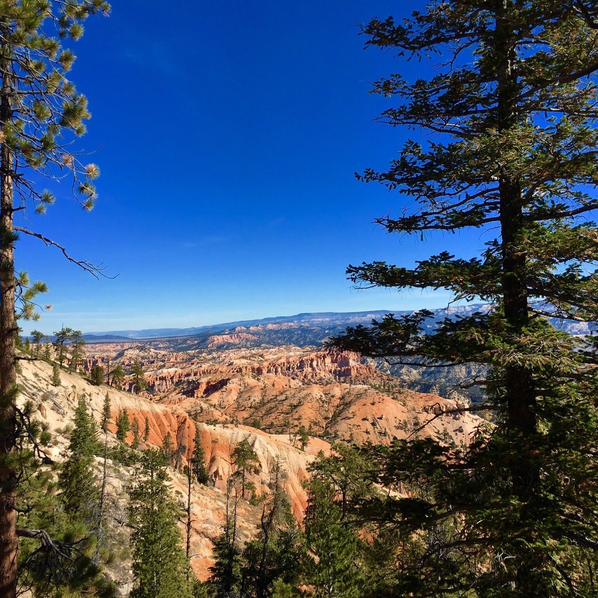 under-the-rim-trail-bryce-canyon-national-park-2022-alles-wat-u